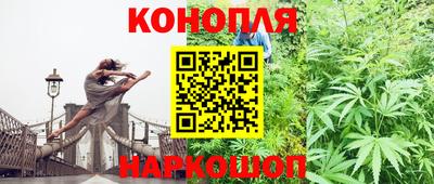 индика Будённовск