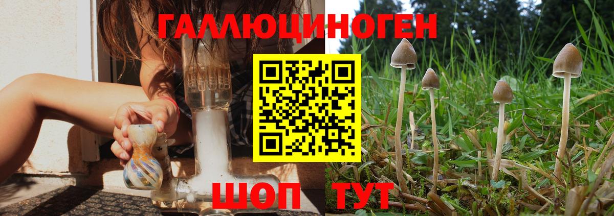 Бошки Шишки Заречный