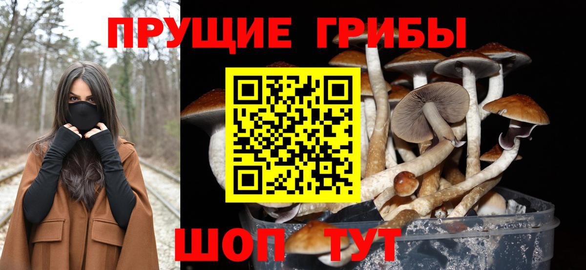 Галлюциногенные грибы прущие грибы Заречный
