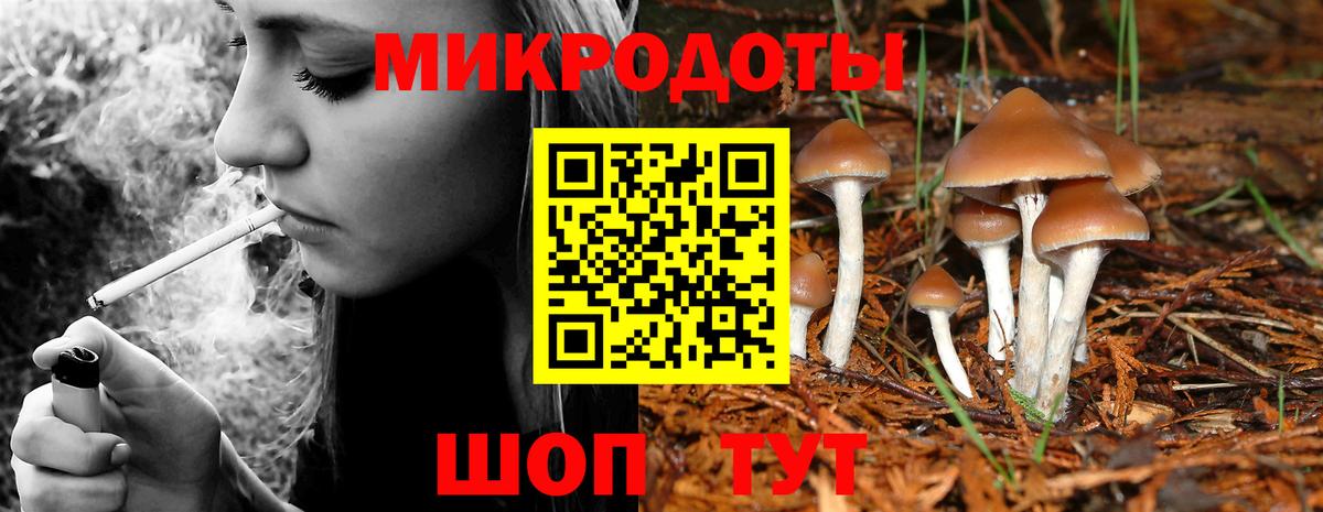 Заречный  Галлюциногенные грибы MAGIC MUSHROOMS  Псилоцибиновые грибы Psilocybine cubensis  Вход с VPN 